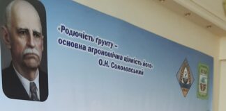 В Україні ґрунти втрачають родючість через важку техніку, а у світі гектари земель перетворюються на пустелю