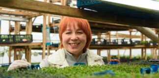 Тернополянка куштувала мікрозелень, яку допомагають вирощувати діти з особливими потребами