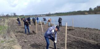 Козівська громада матиме свою «Алею майбутнього»