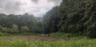 У Тернополі суд залишив за Петриківським будинком-інтернатом 10 га землі