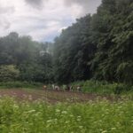 У Тернополі суд залишив за Петриківським будинком-інтернатом 10 га землі