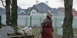 До одного року умовного терміну засудили жительку Тернопільщини, яка у лісі зрубала два дерева