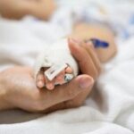 На Тернопільщині собака напав на трирічну дівчинку: дитина в реанімації