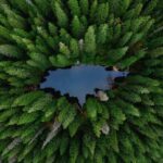 У конкурсі «Вікі любить землю» відзначили фотографію прикарпатського озера