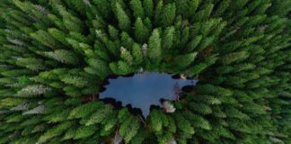 У конкурсі «Вікі любить землю» відзначили фотографію прикарпатського озера