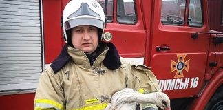 На Тернопільщині врятували лелеку, який крізь ракетні обстріли летів додому