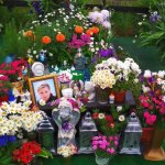 Верховний суд визнав винними лікарів у смерті Ромчика Кулака