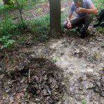 Поховання кельтського воїна знайшли на Тернопільщині