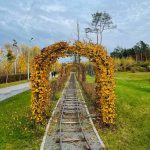 Який вигляд тепер має осінній парк у Бучі (фото)