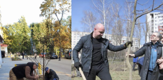 Зелений двір: у Тернополі постійно висаджують нові дерева, згідно стратегії відновлення прибудинкових територій