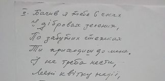 Ось копія тексту «Червоної Рути», яку Володимир Івасюк записав від руки