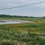 Фермери розорюють джерела, які наповнюють річку Тернопільщини: як врятувати водойму