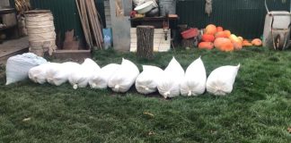 Подружжя з Тернопільщини обладнало підприємство у власному хліві