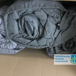 Підприємство з Тернопільщини за кілька днів існування оримало понад 12 мільйонів
