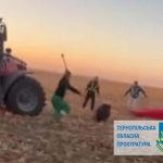 Чоловіками, які на Тернопільщині знущалися над кабанами, зайнялася прокуратура