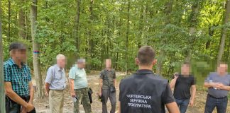 На мільйон гривень нарубали дерев, а пеньки поприсипали землею і листям