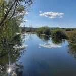 На Тернопільщині землю заповідника перетворили на землі сільськогосподарського призначення