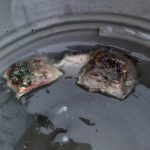 Жителька Тернопільщини знайшла у власній криниці отруту для гризунів