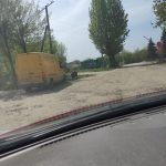 На одній із вулиць Тернополя бігає кабан