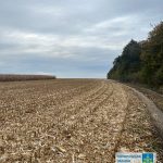 Житель Тернопільщини в заповіднику садив кукурудзу