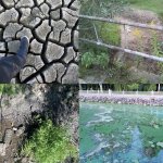 Водна криза Тернопільщини: коли київські міністерства ігнорують критичний рівень падіння місцевих річок