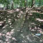 У Тернополі розпочали реконструкцію байк-парку «Співучка»