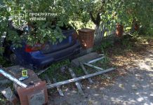 Жителю Тернопільщини заборонили керувати транспортом, а він п’яним вчинив ДТП