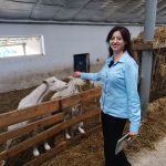 На Тернопільщині виробляють сир, аналогів якому нема у світі (відео)