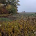 На Тернопільщині земельну ділянку зоологічного заказника незаконно передали у приватну власність
