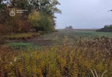 На Тернопільщині земельну ділянку зоологічного заказника незаконно передали у приватну власність