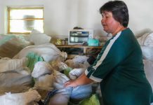 Коли на Тернопільщині сушили мухомори, то виходили запаморочені