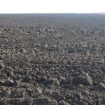 На Тернопільщині прокурори вимагають, щоб агропідприємство повернуло землю громаді