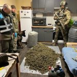 На Тернопільщині вилучили канабіс на мільйони