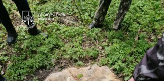 Ліс на Тернопільщині поцупили руками лісгоспу