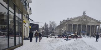 У пастці доброти: як легендарний пес Компот став приводом для хейту