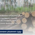 Коли деревина стає дуже дорогою: Бучацька прокуратура бере реванш
