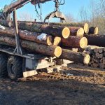 Як посадовці у заповіднику «Медобори» «напиляли» збитків на 5 мільйонів