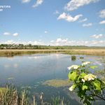 У державну власніть повернуть понад 10 гектарів гідрологічного заказника «Серетський» на Тернопільщині