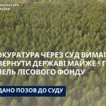 Прокуратура через суд вимагає повернути державі майже 5 га земель лісового фонду, які опинилися у комунальній власності