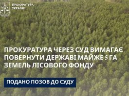Прокуратура через суд вимагає повернути державі майже 5 га земель лісового фонду, які опинилися у комунальній власності