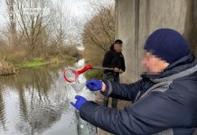 Прокурори домоглися у суді стягнення понад 1,2 млн грн шкоди через забруднення річки Збруч