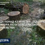 Видав незаконні лісорубні квитки – зрубано дерев на понад 4,5 млн грн