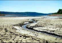 Дністер вмирає: що станеться, якщо “Великі болота” не відновити