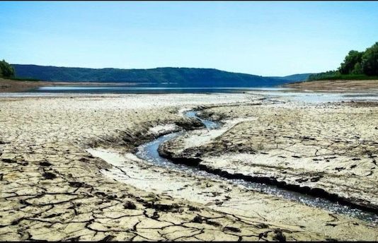 Дністер вмирає: що станеться, якщо “Великі болота” не відновити